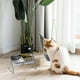 thumbnail image 2 of Elevated Cat Bowl, Double Bowl, Stainless Steel, 15Degree Tilted Design, 17.68cm, 2 of 5