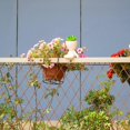 thumbnail image 2 of Suculentas falsas, plantas suculentas artificiales, regalo de mordaza de suculentas, suculentas artificiales con lindas macetas con forma humana, plantas falsas de interior para el hogar y, 2 of 5