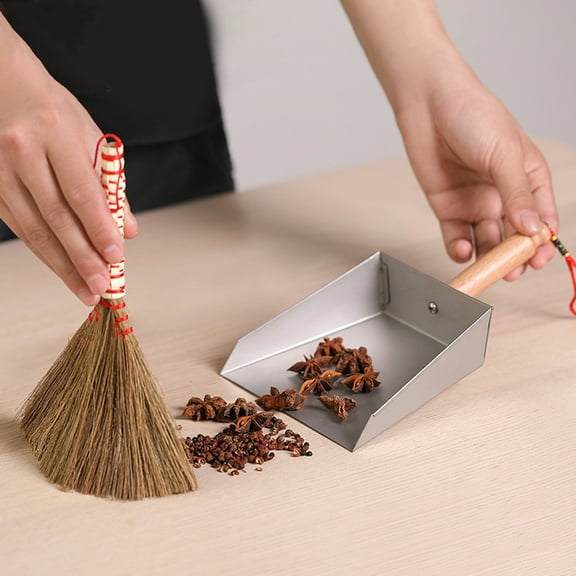 HONMEET Household Dustpans Small Stainless Steel Dustpan for Home Users 1Pcs