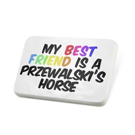 Porcelein Pin My best Friend a Przewalski's Horse Mongolian Wild Horse Lapel Badge –