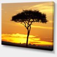 thumbnail image 2 of Beautiful Sunset Through Acacia Tree - African Landscape Canvas Art Print, 2 of 3