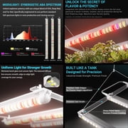 ALPHAGROW Grow Tent Kit, 24 x 24 x 48 in, with 33 W LED Light and 4 in Integrated Inline Fan