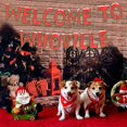 thumbnail image 4 of Welcome To Whoville Banner, Christmas Themed Decorations Merry Christmas Banner for Fireplace Mantle Home, Xmas Birthday Party Decorations, Christmas Vacation Holiday Decorations, 4 of 7