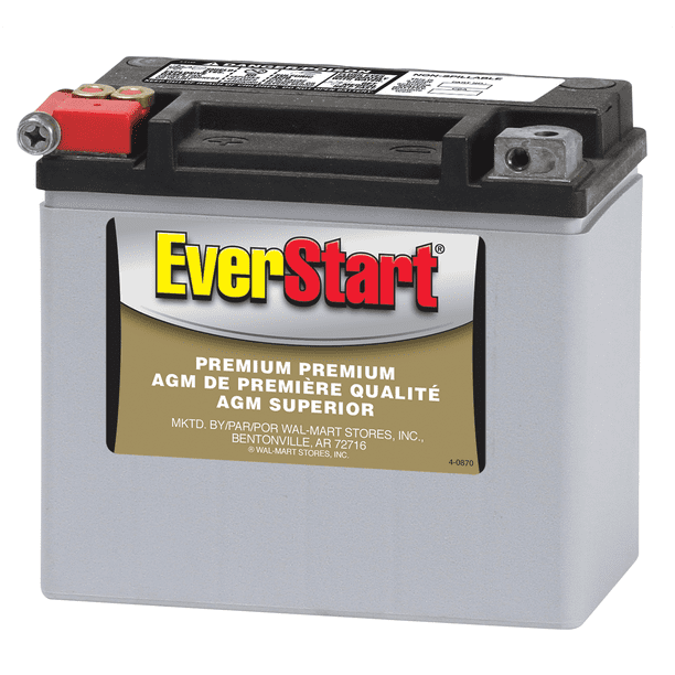 EverStart Premium AGM PowerSport Battery, Group Size ESTX12 (12V/180