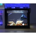 thumbnail image 5 of Pecera Dorada Pequeña Pecera Betta Pecera De Plástico Transparente Mesa De Pecera Ornamental Pecera De Acrílico Mesa Pequeña Productos Ecológicos Negro, 5 of 5