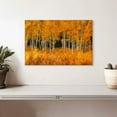 thumbnail image 2 of Elephant Stock Grand Teton Aspen Trees Wall Art - Horizontal Canvas Wall Art - Living Room Wall Decor - Floral And Botanical Canvas - Orange And Black Decor - 12" x 8", 2 of 8