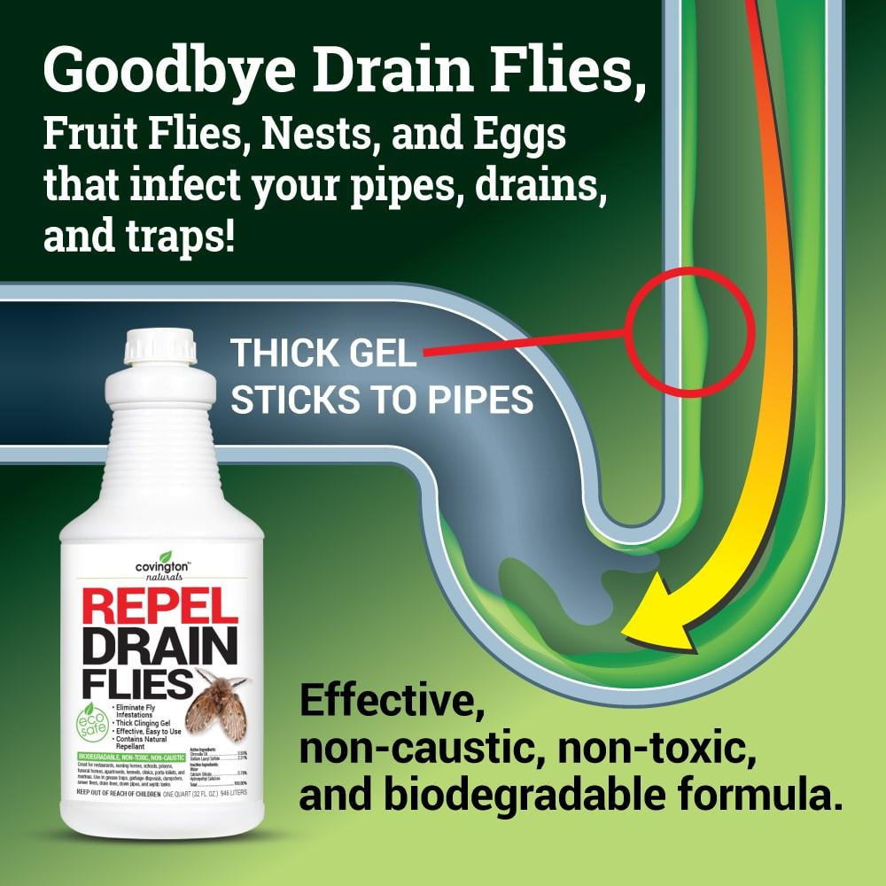 Fly Trap, Fly Killer, Fruit Fly Trap & Drain Fly Killer Treatment for  Indoor Fly Control in Kitchen, Restaurants, and More