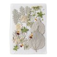 thumbnail image 4 of Wosthever Artesanías de flores secas naturales, decoraciones florales prensadas, plantas de flores en relieve hermosas para postales, álbumes, 4 of 6