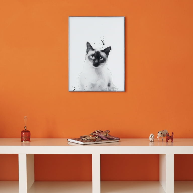 Black And White Siamese Cat