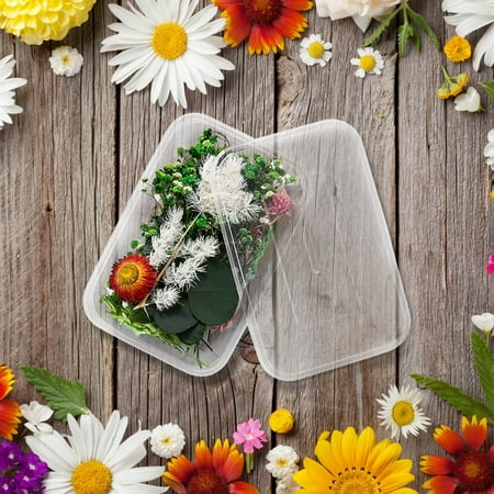 

Simulation Flowers 1 Box Real Dried Flower Resin Fillings Expoxy Flower For Epoxy Resin Jewelry Making Craft DIY Supplies Accessories (Forget Me Not)