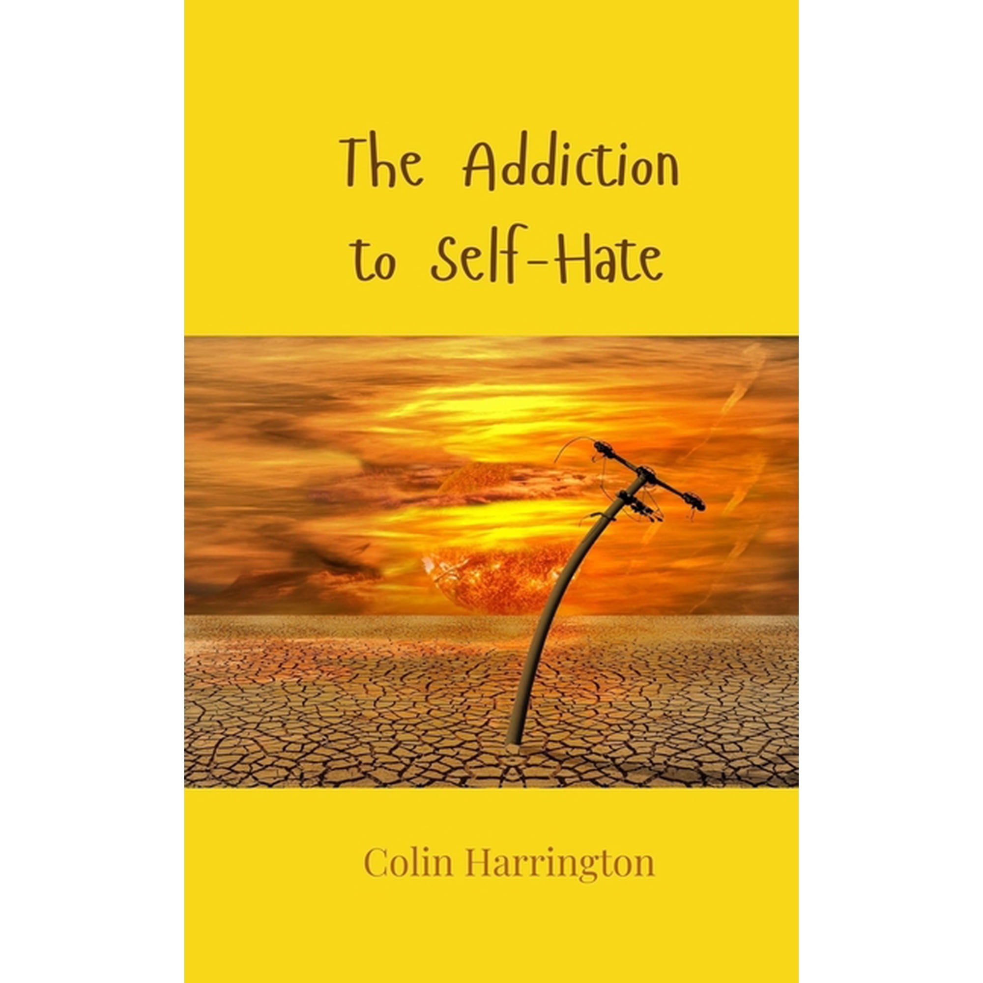 The Addiction to Self-Hate (Paperback)