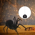 thumbnail image 4 of Spider Remote Accesorios Control remoto Animal Control remoto Spider Fright Props para juegos Niños D Sunnimix Mando a distancia RC Spider, 4 of 8