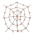 thumbnail image 1 of Way to celebrate! Spider Web Lights, 1 of 1