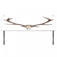 thumbnail image 3 of Antlers Headboard, Antlers of a Huge Stag Elk Skeleton Big Bone Horn Hunter Style Art Print, Upholstered Decorative Metal Bed Headboard with Memory Foam, King Size, Brown and Beige, by Ambesonne, 3 of 4
