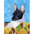 thumbnail image 1 of 11 x 15 In. Rat Terrier Flag, Garden Size, 1 of 1