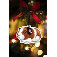 thumbnail image 7 of WIRESTER Set of 2pcs Acrylic Ready to Hang Ornament, Hanging Ornaments for Christmas Tree Holidays Party Home Office Xmas Tree Decoration Gift - Black White Brown Guinea Pig & American Guinea Pig, 7 of 7