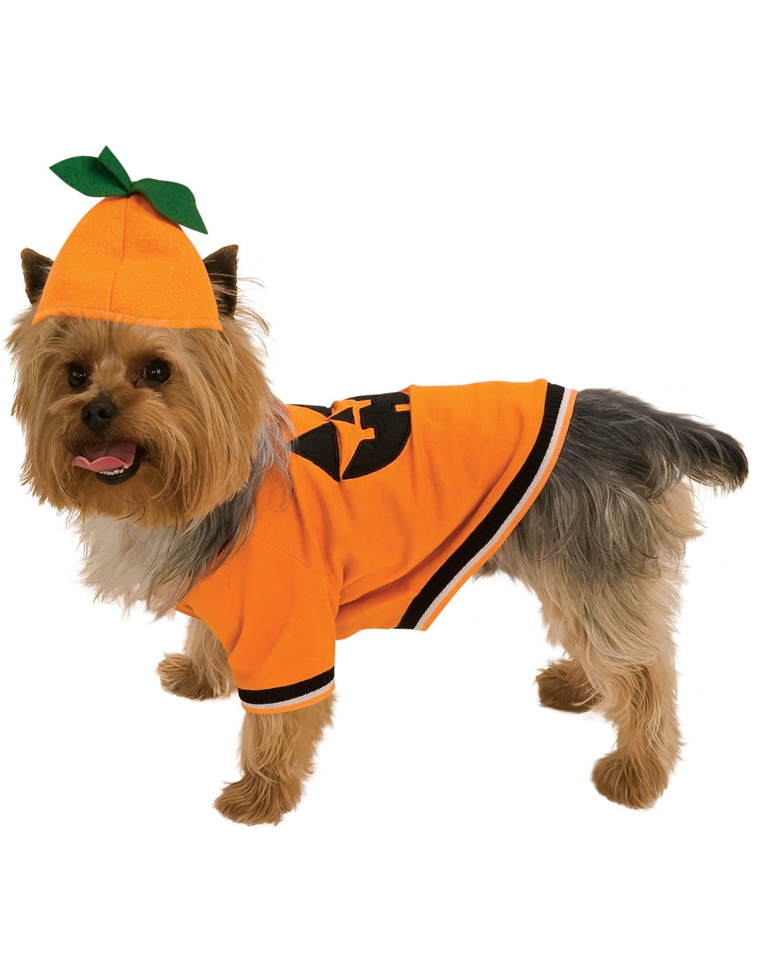 Pumpkin Pet Pet Costume - X-Small - Walmart.com