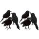 thumbnail image 4 of Pájaro artificial YONGSHENG cuervo plumas negras decoración Halloween, 4 of 5