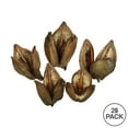 thumbnail image 2 of Vickerman 3-4" Natural Sora Pods, Bulk Case, 25/pk, Dried, 2 of 2