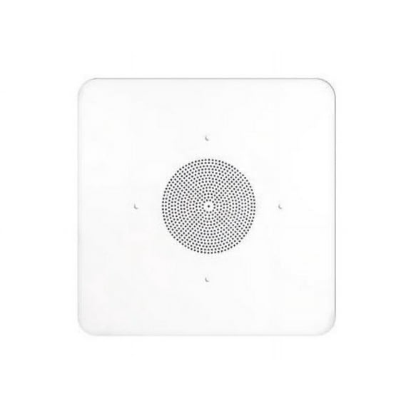 Speco Technologies In-Ceiling Speaker,24inLx3-1/2inH G86TG2X2C