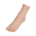 thumbnail image 3 of TOOYFUL Mannequin Foot Foot Model Display Shoes Display Props Jewelry Display Stand Medium Stocking Mannequin Manikin Feet for Retail Left foot, 3 of 10