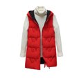 thumbnail image 2 of Chaquetas y abrigos casuales sin mangas y sin capucha para mujer, chaqueta fina de plumón con cuello con capucha y penetración de dos lados, sin mangas, delgada, ligera, con bolsillo y cremallera, abr, 2 of 8