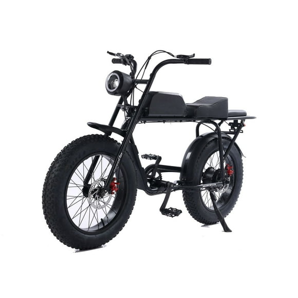 Vélo électrique GoTyger 500 W 2 places 20 po 4.0 Fat Tire
