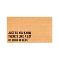 thumbnail image 1 of 16x24 Inch No Slip Coir Door Mats Outdoor Entrance Outdoor Welcome Mats for Front Door Washable Front Door Rugs Indoor Waterproof, Low Profile Welcome Doormat Doormat for Outdoor Entrance, 1 of 9