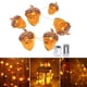 thumbnail image 5 of Luces de hadas con 8 modos de iluminación, control remoto para bodas y fiestas Nuez, 5 of 9