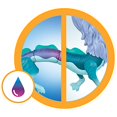 thumbnail image 4 of Disney's Raya and The Last Dragon Color Splash Raya and Sisu Dragon, Water Toy for Kids 3 and Up, 4 of 5