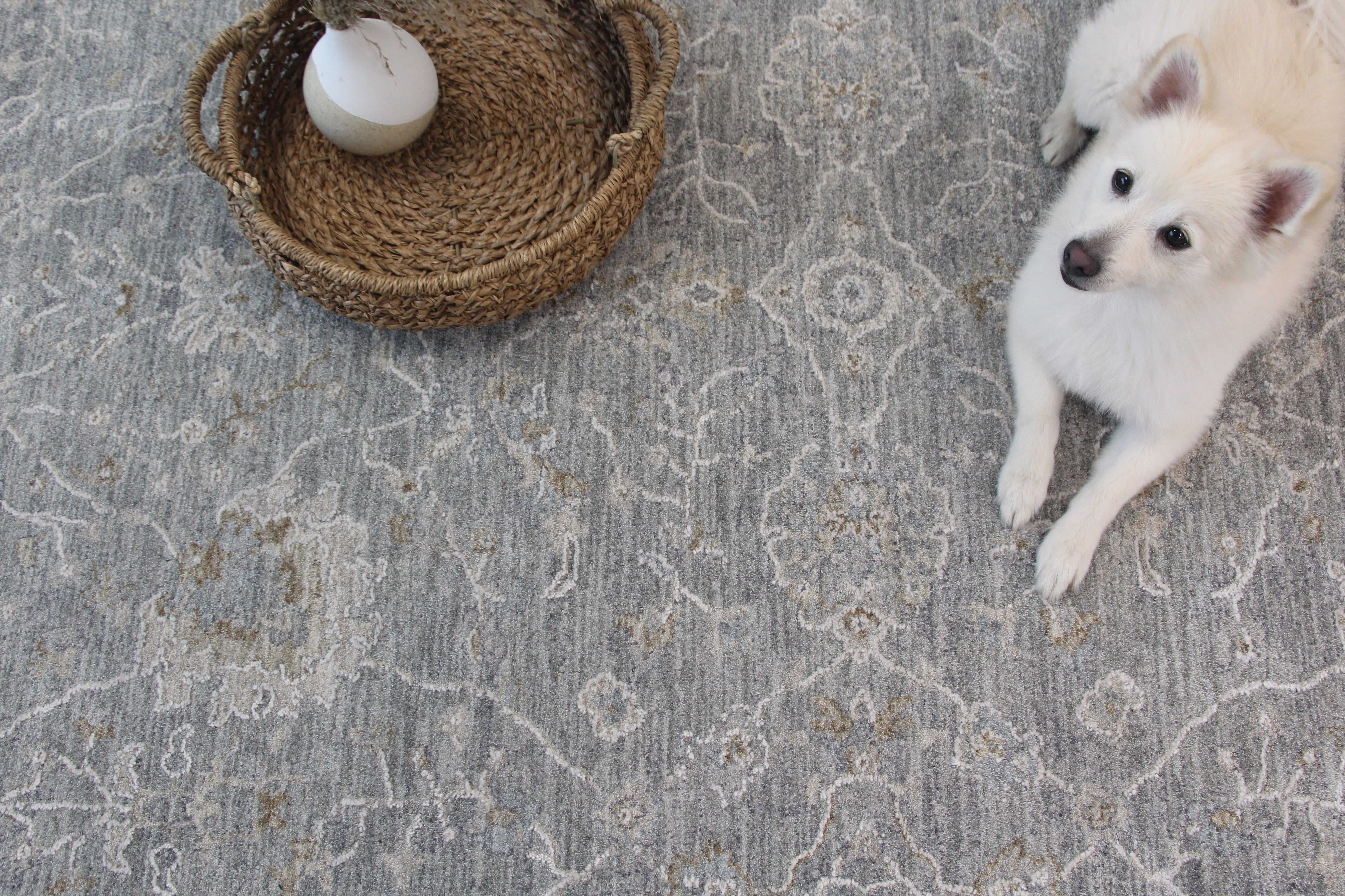 Rug Branch Elysian Collection Transitional Southwestern Boho Area