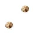 thumbnail image 2 of Greeniant Adiciones coloridas, animales pequeños, pelotas de juego para diversión sin fin, pelotas para masticar hierbas, juguetes para bola de calabaza 7cm 2Conjunto, 2 of 6