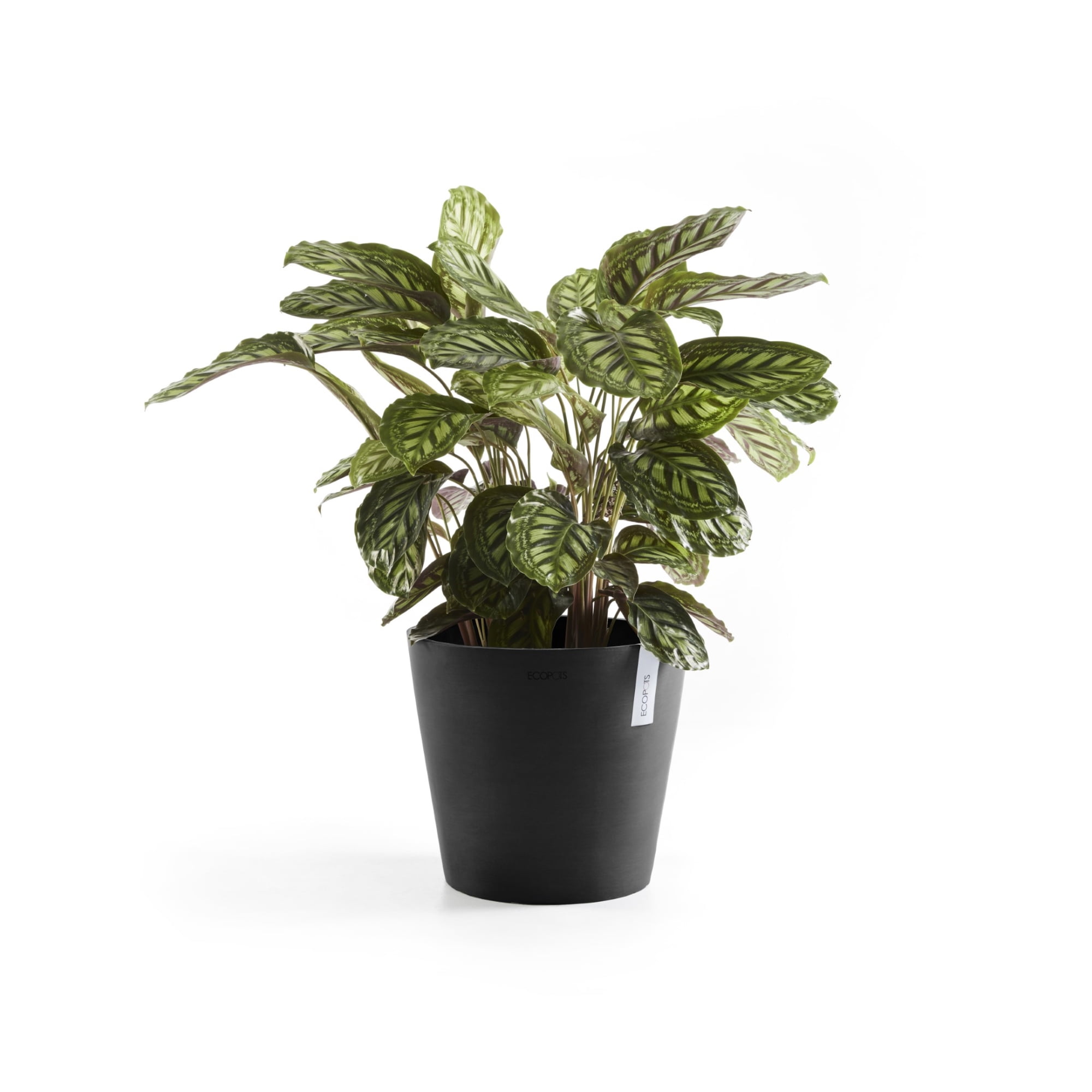 Ecopots Amsterdam Durable Modern Round Indoor/Outdoor Recycled Based Composite Flower Pot Planter, Dark Grey, 16"
