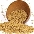 thumbnail image 4 of Deep Fenugreek Seeds 14oz, 4 of 5