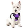 thumbnail image 1 of Arnés para perros Rabbitgoo, sin tirones, ajustable, morado, para perros XS, 1 of 8