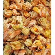 Earthcare Seeds - Ground Cherry Aunt Molly's 50 Seeds (Physalis Pruinosa) Heirloom - Open Pollinated