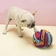 thumbnail image 4 of Snuffle Puzzle Toys Aumentar El Coeficiente Alimentador de Dispensación Tren para Mascotas Se Describe+Snuffle Ball Do, 4 of 7
