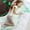 Green, variant on Tezituor 48" Giant Axolotl Stuffed Animal Large Axolotl Glow-in-Dark Plush Toy Cuddle Pillow