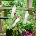 thumbnail image 5 of JeashCHAT White Bird Garden Stakes 2 Pcs Patio Yard Lawn Stakes Outdoor Garden Decorations Artificial Birds Ornaments, 5 of 9
