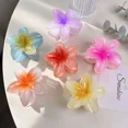 thumbnail image 2 of Pinza de pelo acrílica con forma de flor de huevo degradado para mujer, pasadores de pinza de cangrejo, accesorios para la cabeza hawaiana, 2 of 5