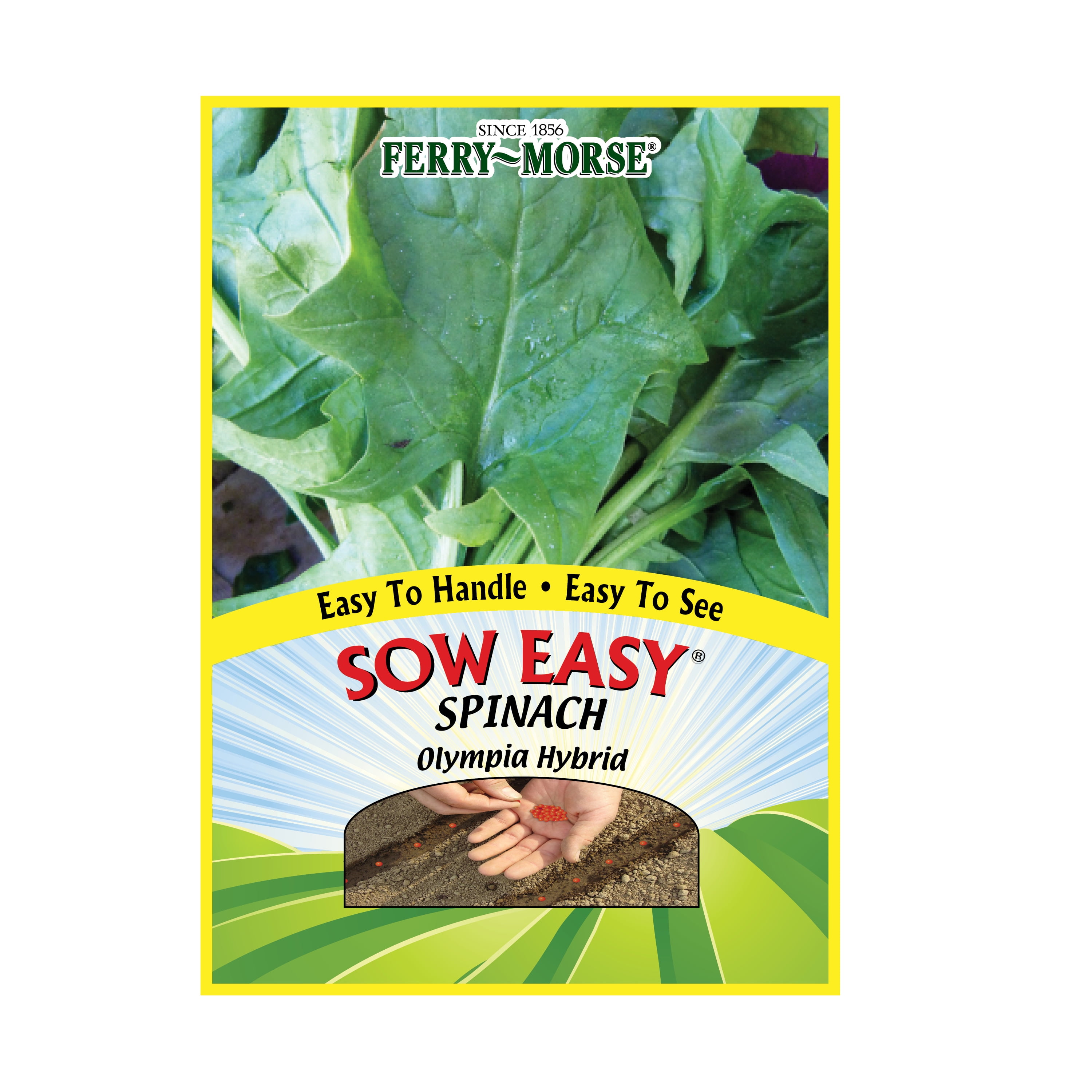 Ferry-Morse Sow Easy Spinach Olympia Hybrid Vegetable Plant Seeds (1 Pack)- Seed Gardening/Full Sun