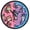 Cute Juggling Tigers, variant on Dailycode Night Light Wall Clock Glow in The Dark 12 inch Battery Operated Silent Luminous Clocks, Cute Juggling Tigers