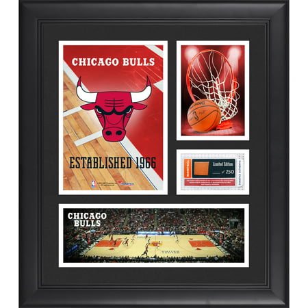 Chicago Bulls Team Logo Framed 15