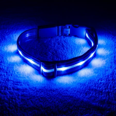 UPC: 0612058740342 | Blazin  Safety Rechargeable Light Up Dog Collars (Small  Blue)