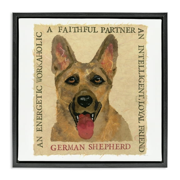 Stupell Industries Fun German Shepherd Phrases Animals Painting Black Floater Framed Canvas Art Print Wall Art, 18 x 18