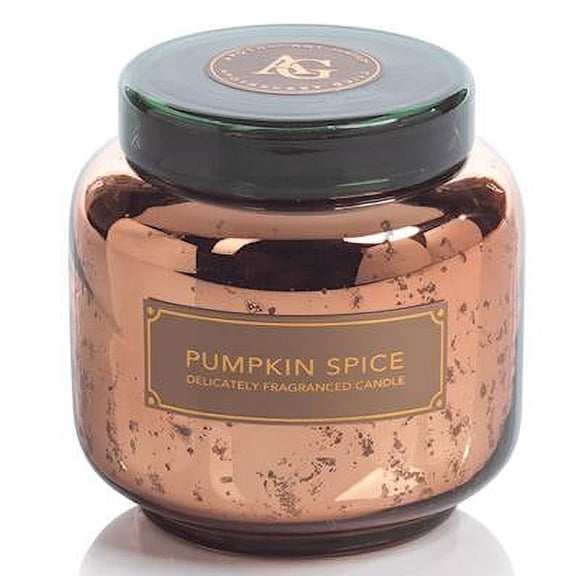 PUMPKIN SPICE Copper Glass Apothecary Guild Zodax 14 oz Scented Jar Candle