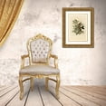 thumbnail image 3 of Audubon, John James 23x32 Gold Ornate Wood Framed with Double Matting Museum Art Print Titled - Ground Dove, 3 of 4