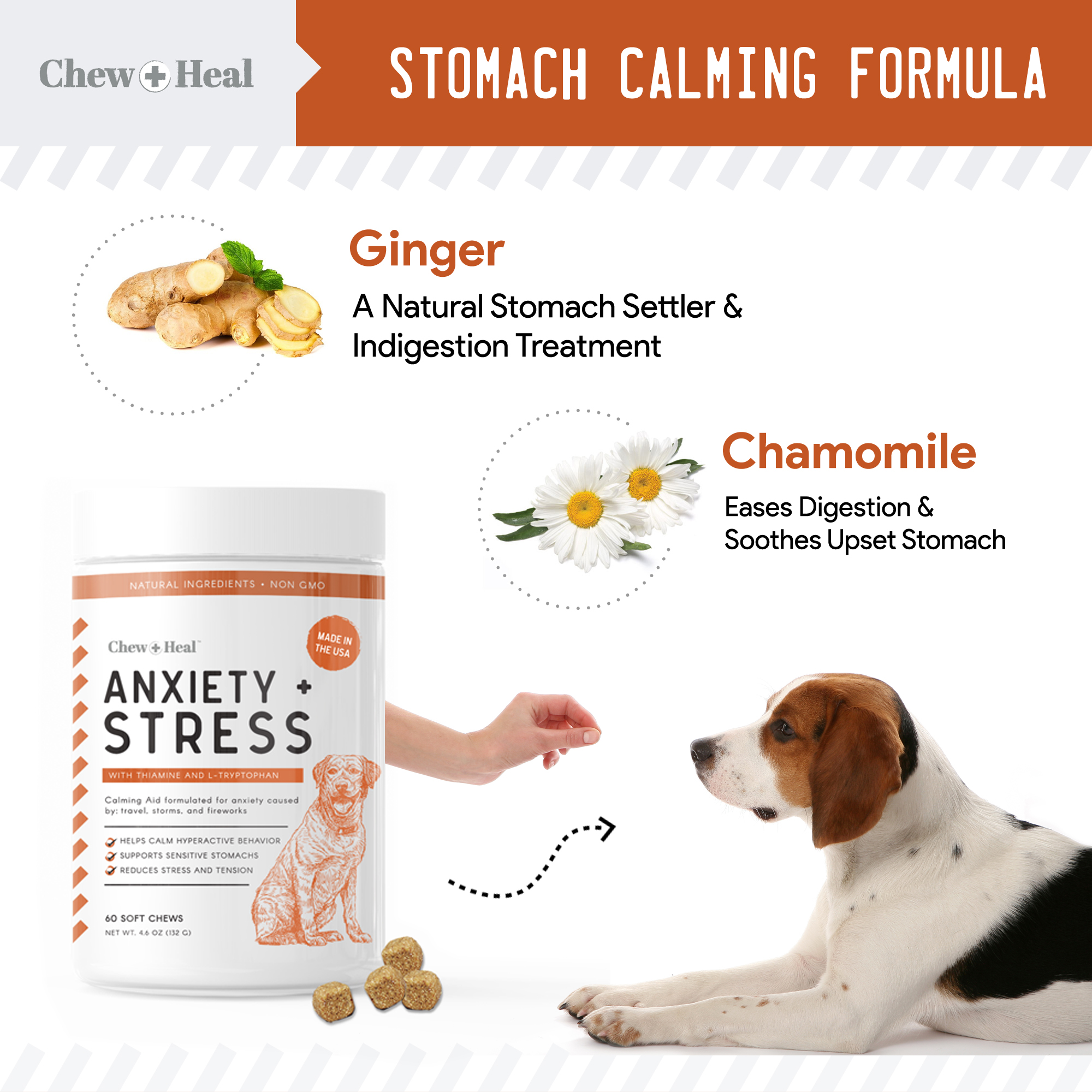 Calming treats store for hyper dogs