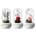 thumbnail image 3 of Eternal Rose Flower Aromatherapy Colorful Led USB Rechargeable Rose Plastic Dome Decoration, 3 of 9