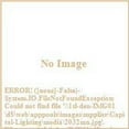 thumbnail image 4 of 12 Inch 2 Light Flush Mount In Modern Style 12 High By 3.5 Wide-Oil Rubbed Bronze Finish Capital Lighting 2032Or, 4 of 4